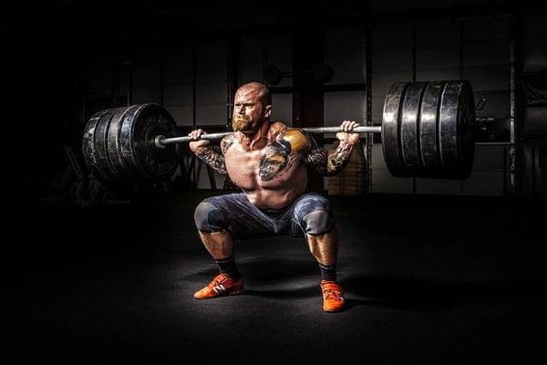 Les programmes et exercices de musculation et de combat les plus efficaces