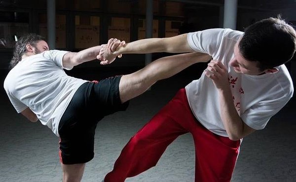 Comment choisir les sports de combat et les arts martiaux qui conviennent le mieux à vos besoins et à vos envies
